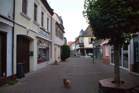 Bad Bergzabern